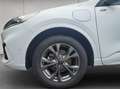 Ford Kuga 2.5 Duratec PHEV ST-LINE Wit - thumbnail 14