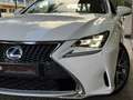 Lexus RC 300h F Sport Blanco - thumbnail 50