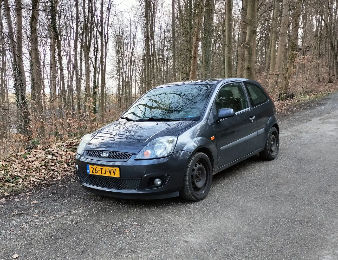 Ford Fiesta 1.4 TDCi LEES TEKST!! Gri - 1