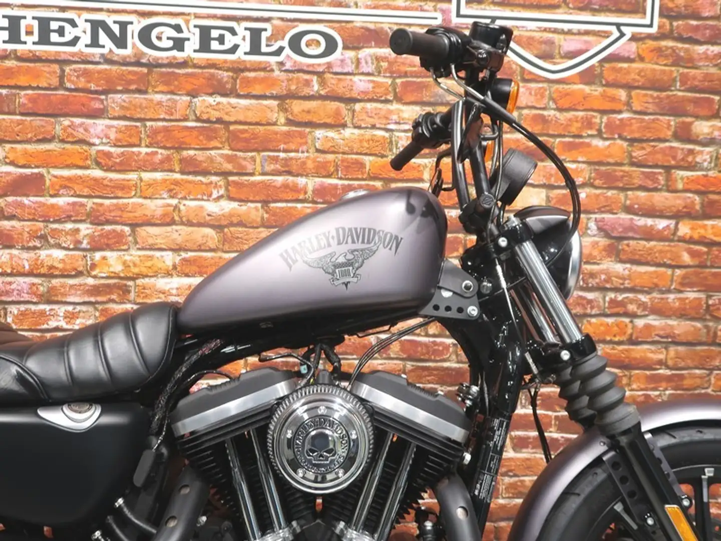 Harley-Davidson Sportster XL 883 N Iron Noir - 2