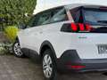 Peugeot 5008 1,5 BlueHDI 130 S&S 6-Gang Allure 7 SITZE Weiß - thumbnail 6