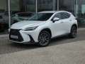 Lexus NX 450h+ *Plug-in* AWD Executive Line *NEW MODEL* Blanc - thumbnail 1
