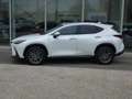 Lexus NX 450h+ *Plug-in* AWD Executive Line *NEW MODEL* Blanc - thumbnail 3