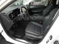 Lexus NX 450h+ *Plug-in* AWD Executive Line *NEW MODEL* Blanc - thumbnail 9