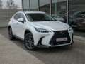 Lexus NX 450h+ *Plug-in* AWD Executive Line *NEW MODEL* Blanc - thumbnail 28