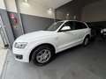 Audi Q5 Q5 3.0 V6 TDI QUATTRO S-TRONIC UNICO PROP Blanc - thumbnail 6