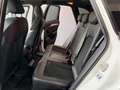 Audi Q5 Q5 3.0 V6 TDI QUATTRO S-TRONIC UNICO PROP Blanc - thumbnail 19