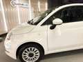 Fiat 500 1.0 Hybrid Dolcevita 52kW Weiß - thumbnail 10