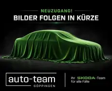 Skoda Kamiq Selection 1.5 TSI, DSG,Smart L,SH,PDC