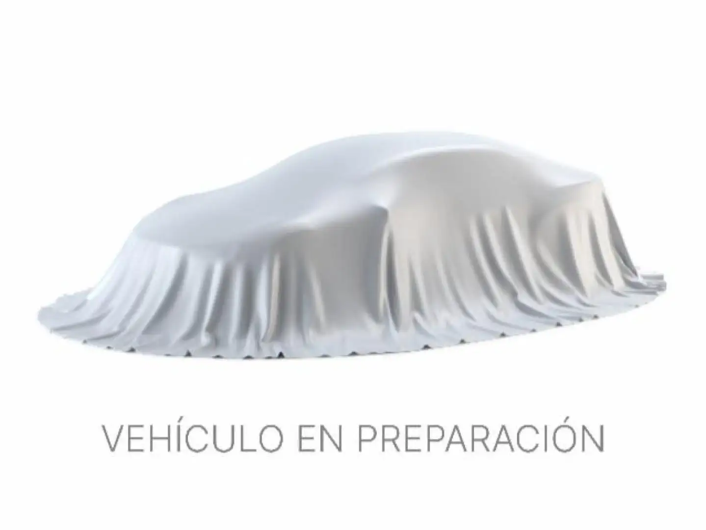 SEAT Ibiza 1.0 TSI 85kW (115CV) FR 40 Aniversario Gris - 1