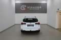 Ford Focus Traveller 1,5 EcoBlue Cool & Conne Weiß - thumbnail 3