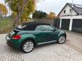 Volkswagen Beetle Beetle Cabriolet 1.2 TSI (BlueMotion Tech) Sound Grün - thumbnail 1
