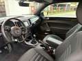Volkswagen Beetle Beetle Cabriolet 1.2 TSI (BlueMotion Tech) Sound Grün - thumbnail 12