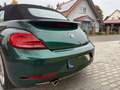 Volkswagen Beetle Beetle Cabriolet 1.2 TSI (BlueMotion Tech) Sound Grün - thumbnail 7