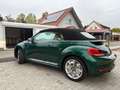 Volkswagen Beetle Beetle Cabriolet 1.2 TSI (BlueMotion Tech) Sound Grün - thumbnail 5