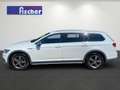 Volkswagen Passat Alltrack 2.0 TDI 4Motion ACC PDC Navi StandHeizung Sitzhzg Weiß - thumbnail 6