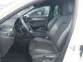 CUPRA Leon SP 1.5 eTSI DSG 150 Weiß - thumbnail 5