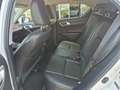 Lexus CT 200h 200 HYBRIDE BUSINESS LINE LEER NAVI CAMERA INRUILK Blanco - thumbnail 14