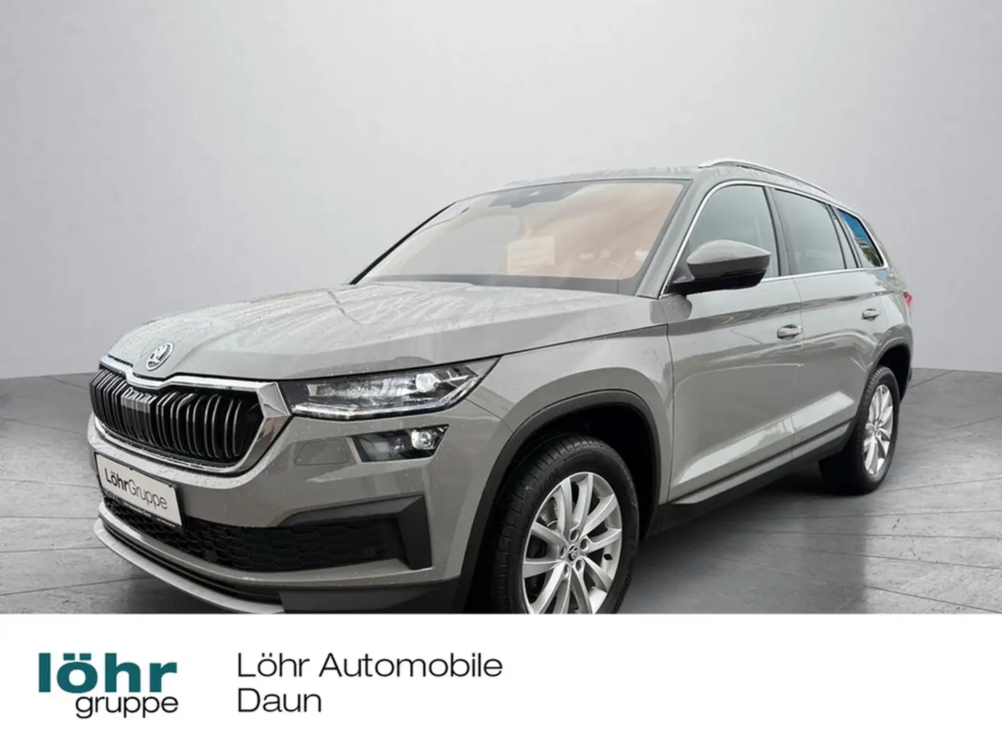 Skoda Kodiaq 2,0 TDI DSG Grau - 1