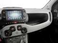 Fiat Panda Panda III 2021 Cross 1.0 firefly hybrid Cross s Grigio - thumbnail 12