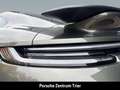 Porsche 992 (911) Turbo 50 Jahre Grün - thumbnail 12