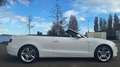 Audi A5 1.8 TFSI Pro Line S-Line Wit - thumbnail 13