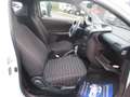 Toyota iQ 1.0 BENZINA CVT AUTOMATICA 107000 KM Blanc - thumbnail 10