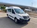 Fiat Scudo COMBI TRASPORTO DISABILI 8 POSTI CON RAMPA Bianco - thumbnail 4