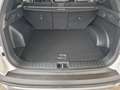 Hyundai TUCSON HEV MY25 1.6 T-GDi Aut. 2WD TREND +Matrix Weiß - thumbnail 9