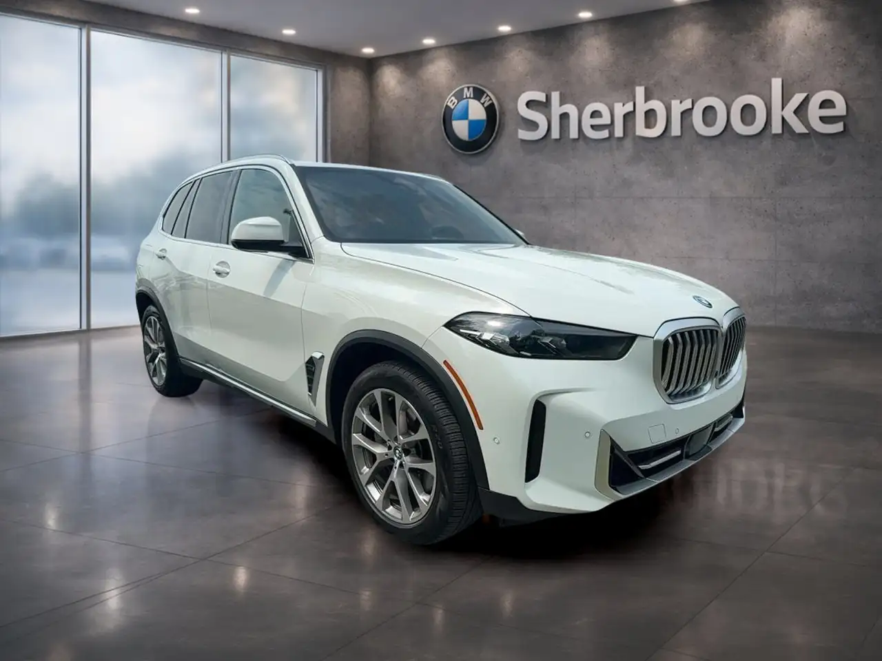 BMW X5 снимка BMW X5