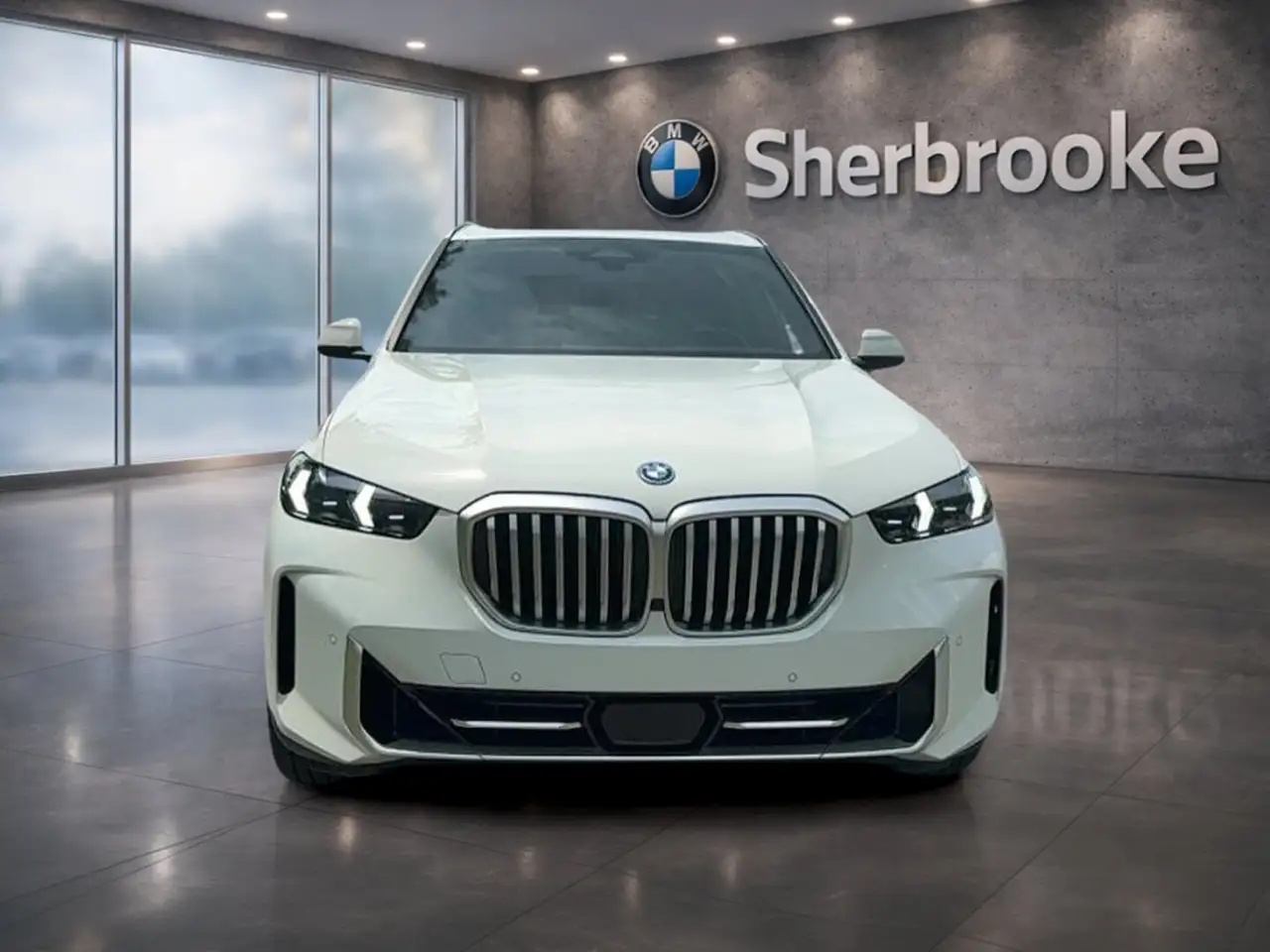 BMW X5 снимка BMW X5
