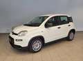 Fiat New Panda Panda 1.0 FireFly S&S Hybrid Weiß - thumbnail 2
