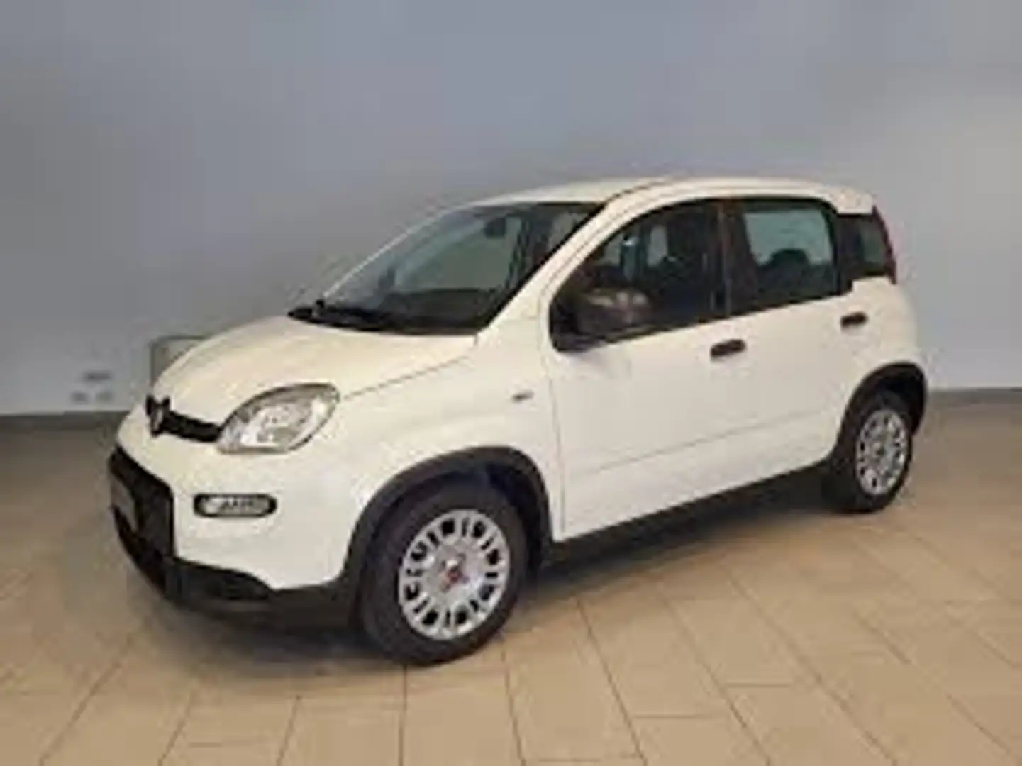 Fiat New Panda Panda 1.0 FireFly S&S Hybrid Weiß - 2