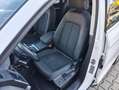 Audi Q5 Q5 40 2.0 tdi mhev Business Adv quattro s-tronic Bianco - thumbnail 7