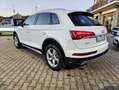 Audi Q5 Q5 40 2.0 tdi mhev Business Adv quattro s-tronic Bianco - thumbnail 4