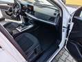 Audi Q5 Q5 40 2.0 tdi mhev Business Adv quattro s-tronic Bianco - thumbnail 8