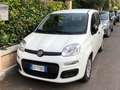 Fiat Panda Panda 1.2 Easy easypower Gpl 69cv my19 Weiß - thumbnail 1
