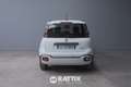 Fiat Panda Pandina 1.0 firefly hybrid 70CV Cross Bianco - thumbnail 5