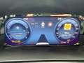 Ford Grand Tourneo Titanium 1.5 EcoBoost 7 Sitze Digitales Cockpit LE Gris - thumbnail 17