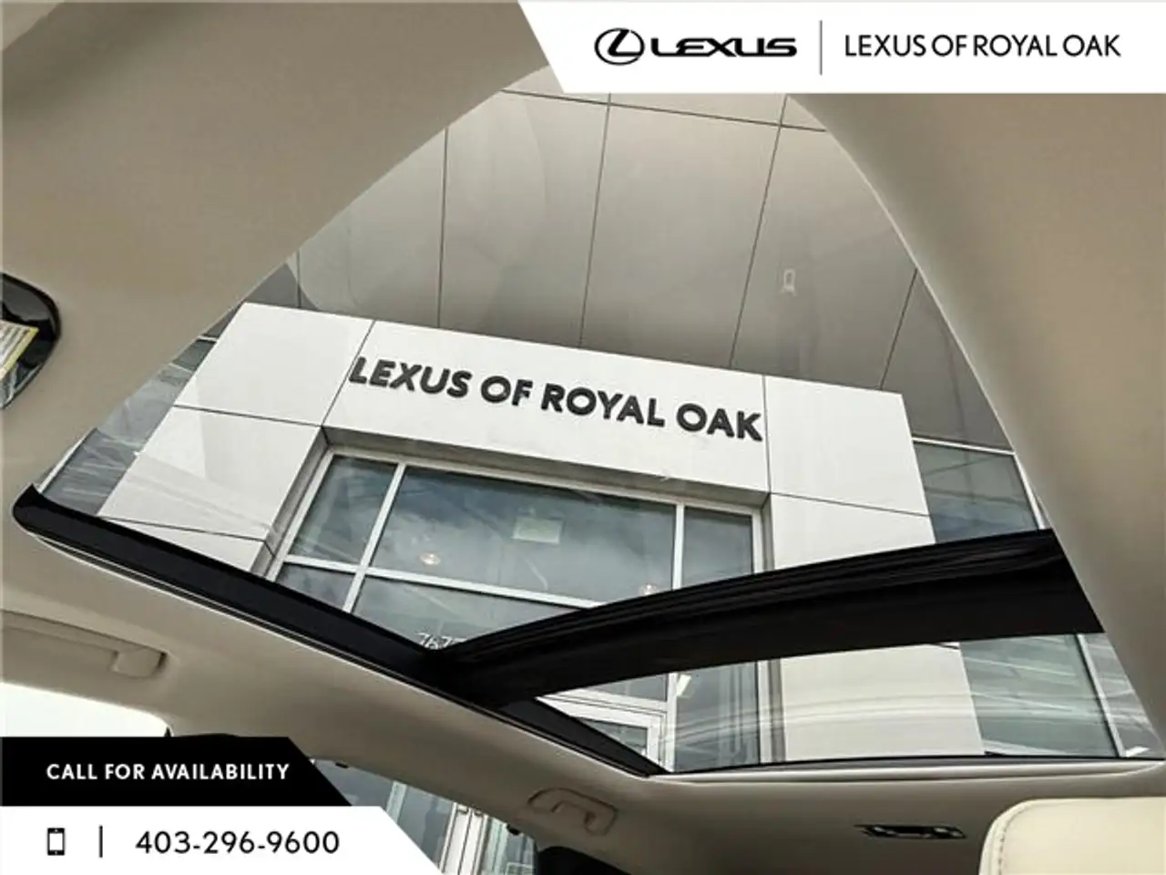 Lexus RX fotografie Lexus RX