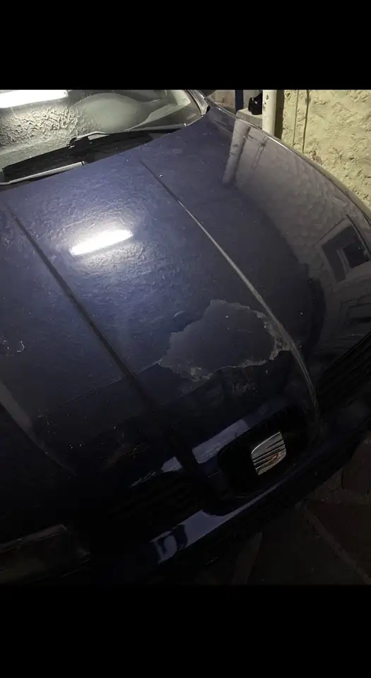 SEAT Leon 1,9 Stella TDI, foto 6