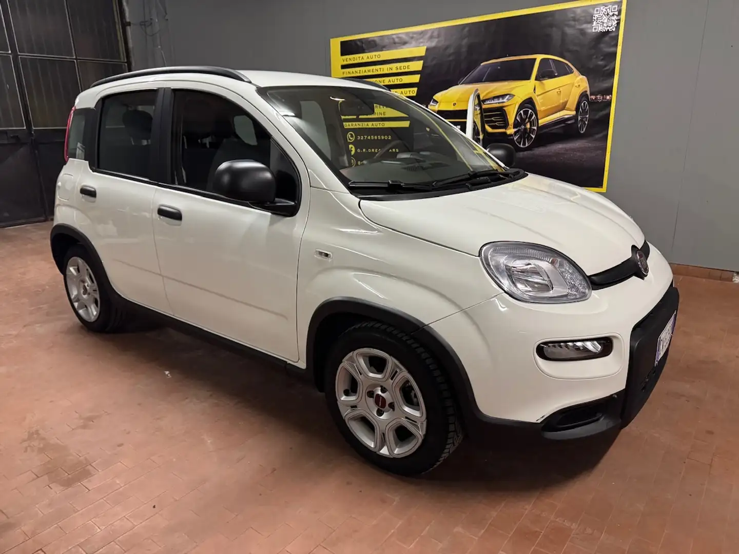 Fiat Panda Panda III 2024 1.0 firefly hybrid s City Life Bianco - 2