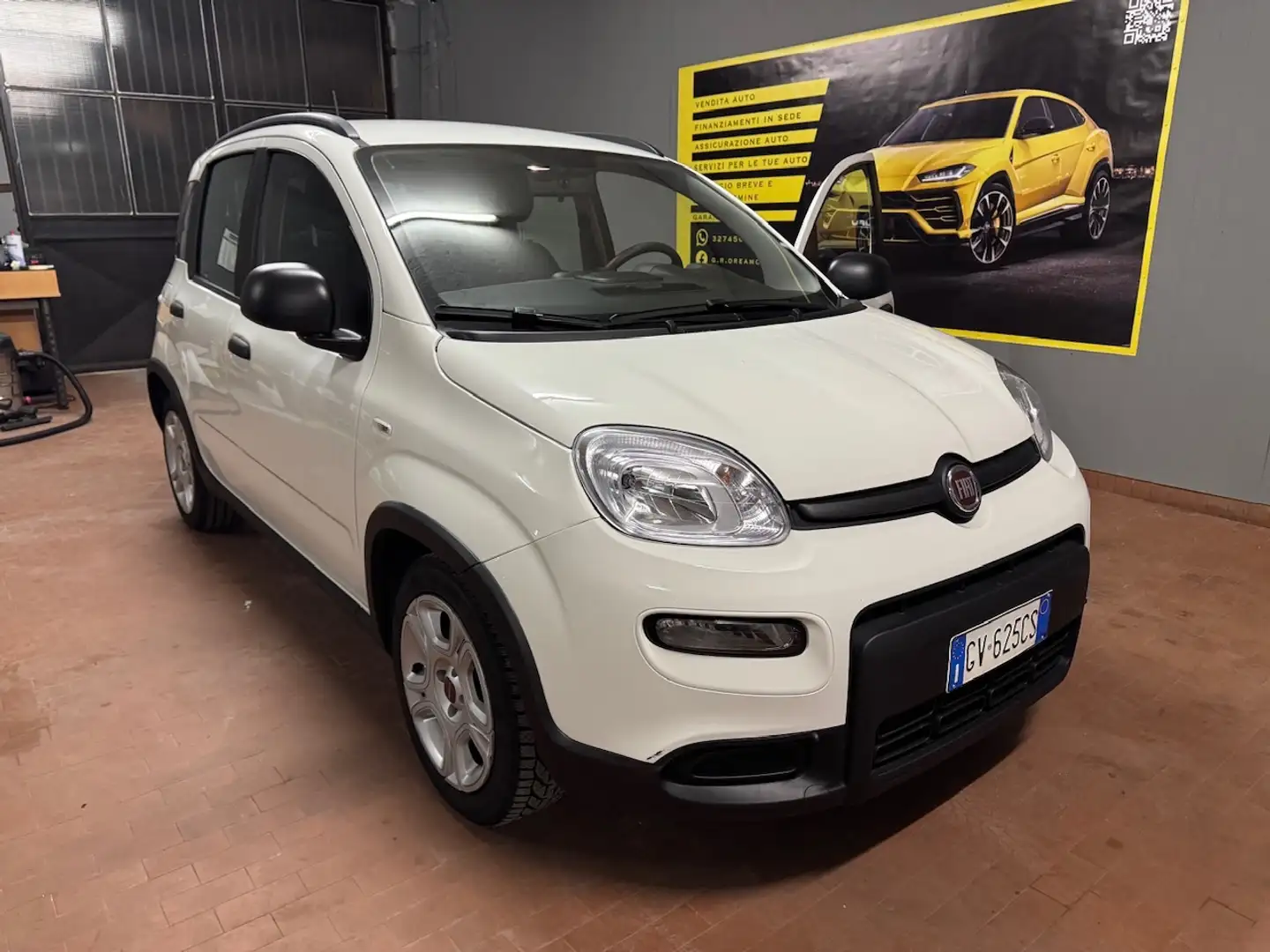 Fiat Panda Panda III 2024 1.0 firefly hybrid s City Life Bianco - 1