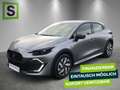 Renault Clio CLIO Evolution TCe 115 Grau - thumbnail 1