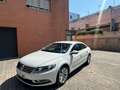 Volkswagen CC 2.0TDI BMT ADVANCE 150 Bianco - thumbnail 4