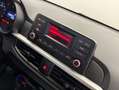 Kia Picanto 1.0 Concept Blanco - thumbnail 25