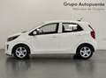 Kia Picanto 1.0 Concept Blanco - thumbnail 5
