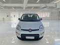 Fiat Panda 1.0 HYBRID MY24 - thumbnail 2