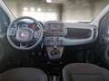 Fiat Panda 1.0 HYBRID MY24 - thumbnail 7