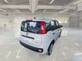 Fiat Panda 1.0 HYBRID MY24 - thumbnail 4